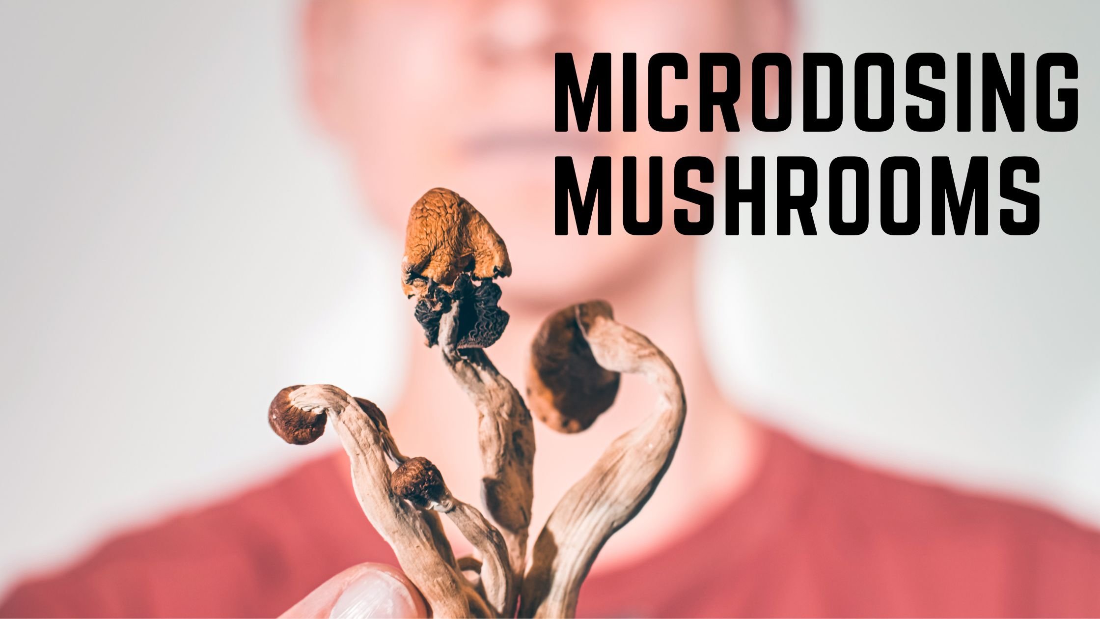 microdosing-mushrooms