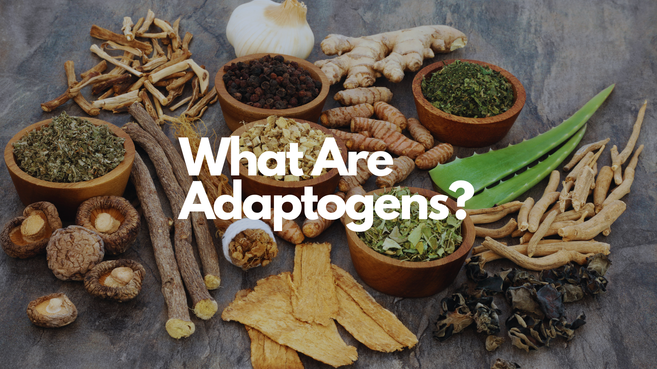 What Are Adaptogens